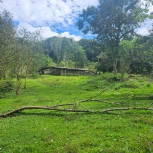 WhatsApp Image 2025-01-19 at 8.16.50 AM (2)