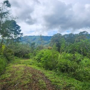 WhatsApp Image 2025-01-19 at 8.16.50 AM (3)