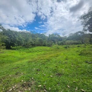 WhatsApp Image 2025-01-19 at 8.16.50 AM