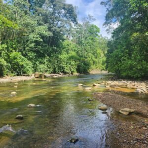 WhatsApp Image 2025-01-19 at 8.16.51 AM (1)