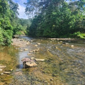 WhatsApp Image 2025-01-19 at 8.16.51 AM (3)