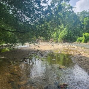 WhatsApp Image 2025-01-19 at 8.16.51 AM