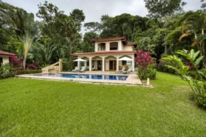 back of house & yard