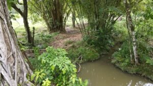 casa san buenas20240524_0028