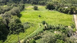 casa san buenas20240531_0008