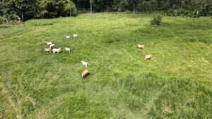 casa san buenas20240531_0011