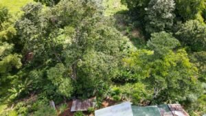 casa san buenas20240531_0014