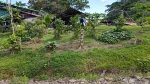 casa san buenas20240531_0017