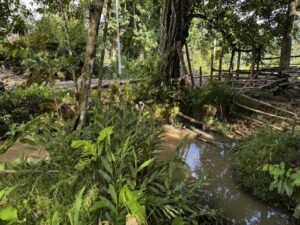 casa san buenas20240531_0030