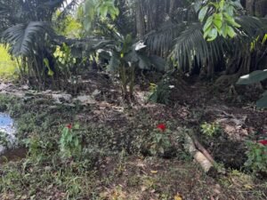 casa san buenas20240531_0034