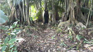 casa san buenas20240627_0035