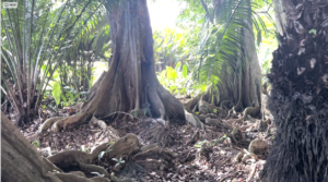 casa san buenas20240627_0036