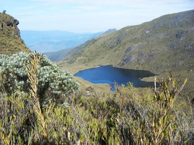 High elevations of Costa Rica's Mount Chirripó - as can be seen, the Montane Forests exist as shrubland and, in the background, the alpine grasslands have taken over. c/o Geovanni Ugalde, wikicommons.