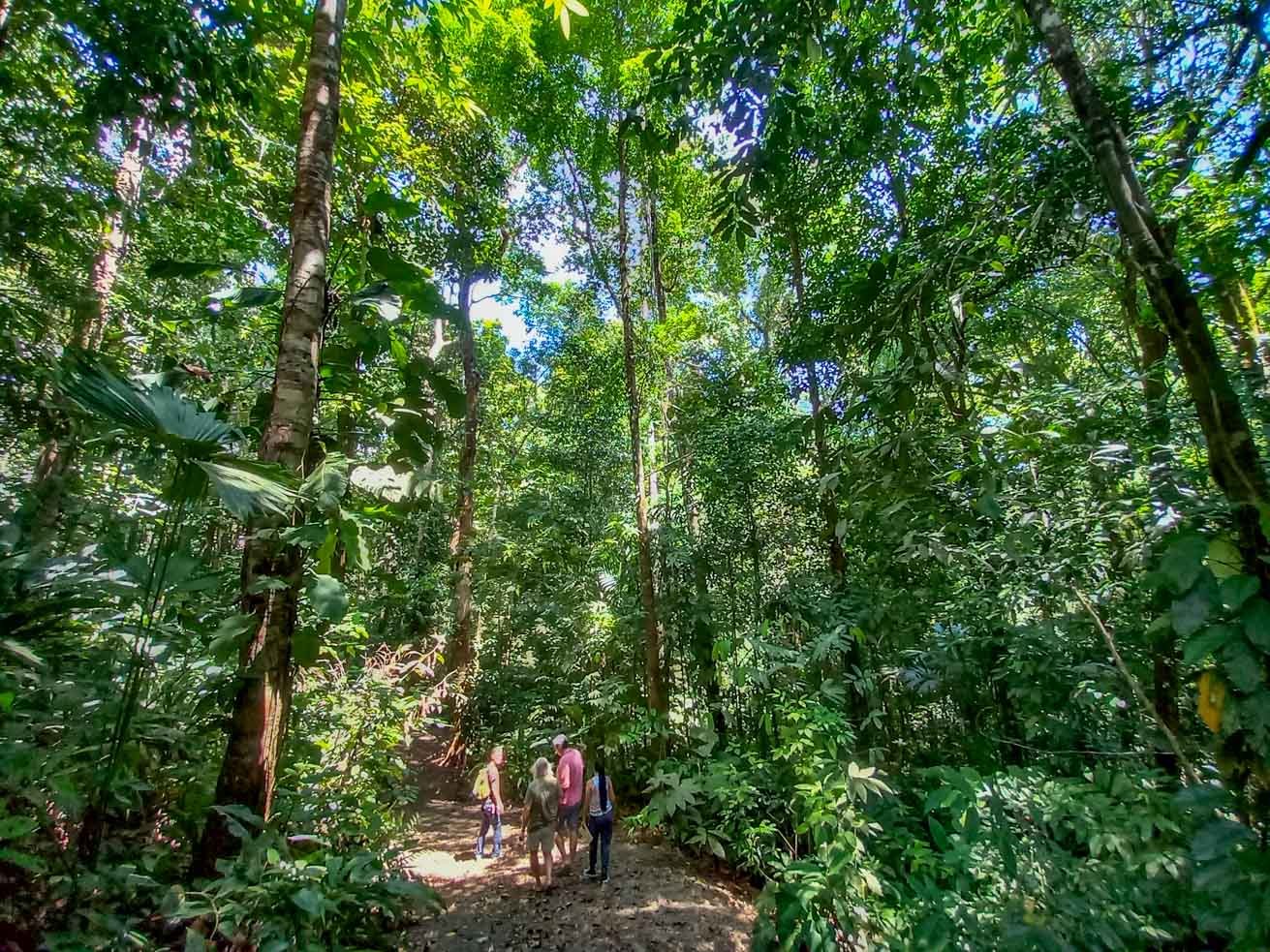 A walk through an old-growth Tropical Rain Forest is a surreal experience. Just another day on the job for Ben and his team. 