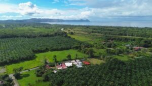 2-Boutique-Villas-plus-Main-House-Coldwell-Banker