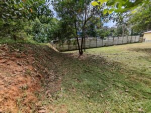 55e9498f-10d7-4044-b5a3-48cec02bcc45