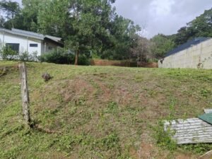 5608b641-5e3c-4f79-940f-5258194a9533