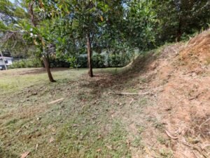 568f8956-3947-46ab-90be-ca591d154d83