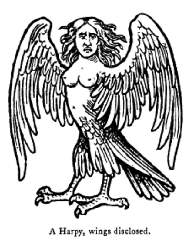 A Harpy, a figure very similar to the Tulevieja. 