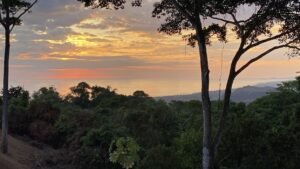 7BA2128F-EDD2-451D-B455-F63A1A4A7A01