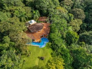 Copy of ConeCat-02(1)