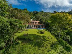 Copy of ConeCat-08(1)