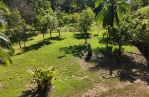 Coronado-fruitfarm- (44)