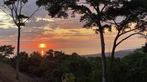 DD76322D-CA15-40DF-AA4B-B986AEE049FF