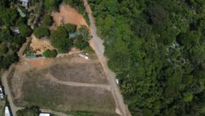 MARIPOSARIO LOTES 10