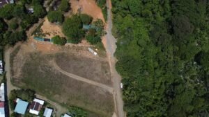 MARIPOSARIO LOTES 12