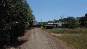 MARIPOSARIO LOTES 17