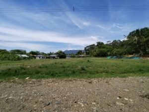 MARIPOSARIO LOTES 18