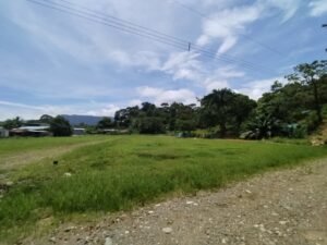 MARIPOSARIO LOTES 20