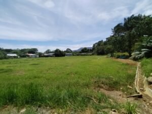 MARIPOSARIO LOTES 21