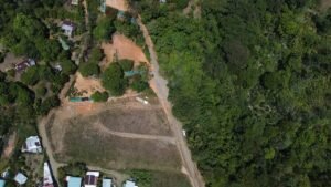 MARIPOSARIO LOTES 29