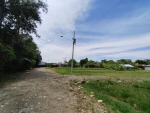 MARIPOSARIO LOTES 31