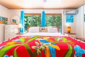 Ojochal-CV57-1580- (48)