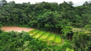 PHOTO-2024-10-25-09-44-14