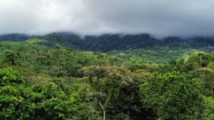 PHOTO-2024-10-25-09-44-15