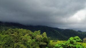 PHOTO-2024-10-25-09-44-18 (1) (1)