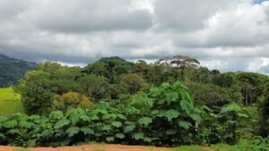 PHOTO-2024-10-25-09-44-18 (1)