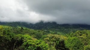 PHOTO-2024-10-25-09-44-18