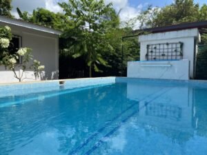 Photo 1-10-25, 12 18 40