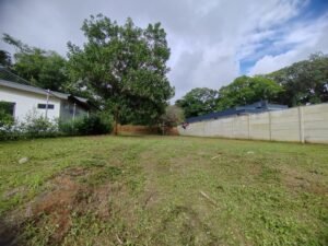 Photo 1-11-23, 3 12 34 PM