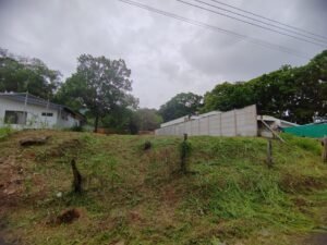 Photo 26-5-23, 4 04 04 PM