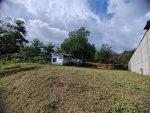 Photo 28-7-23, 3 35 51 PM (1)