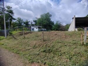 Photo 28-7-23, 3 35 51 PM