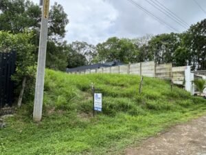 Photo 6-11-24, 11 50 34 AM