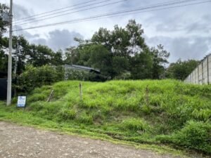 Photo 6-11-24, 11 51 01 AM