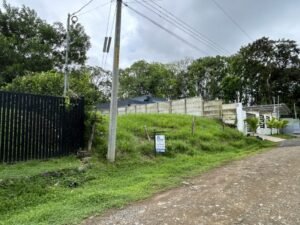 Photo 6-11-24, 11 51 20 AM